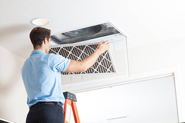 Best Heating Repair Services  in Caledonia, MI